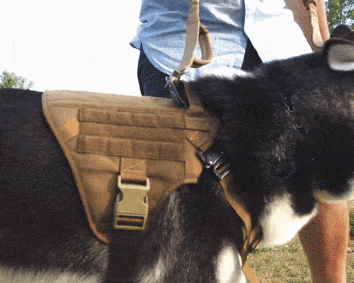 Military Vest Tactical Dog Harness