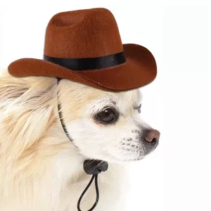 dog hat, dog cowboy hat, pet hat