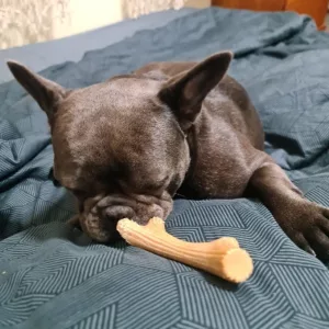 Received Wooden Antler Dog Chewing Stick from customer B***n.