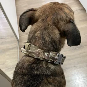 Received Tactical Training Dog Collar with Metal Buckle from customer H****h.