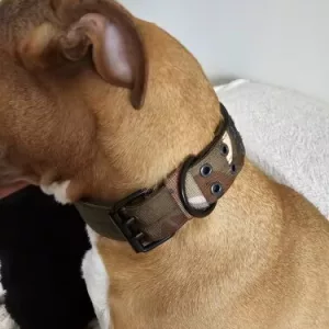 Received Adjustable Tactical Dog Collar from customer X****x.