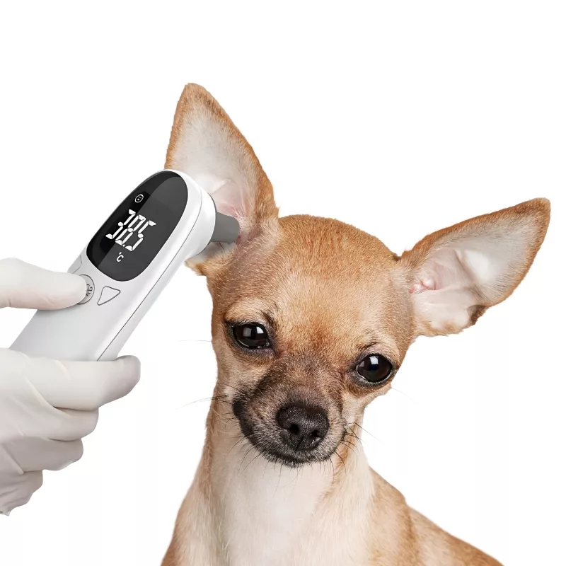 dog thermometer, dog ear thermometer, dog digital thermometer, infrared ear thermometer