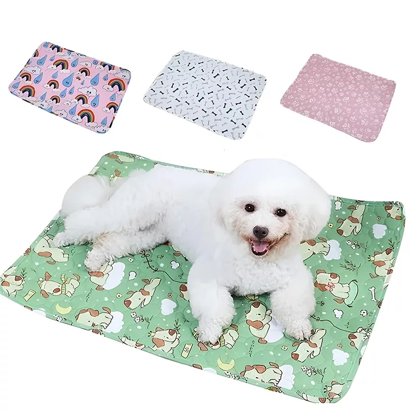 dog pee pad, dog training pad, washable dog pee pad, reusable dog pee pad, washable pee pad, dog diaper pad