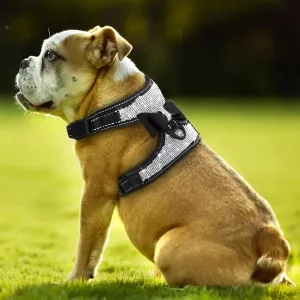 dog harness, dog harness vest, reflective dog harness, bling dog harness, rhinestone dog harness