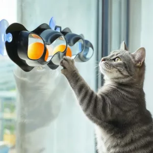 ball track toy for cats, track ball toy