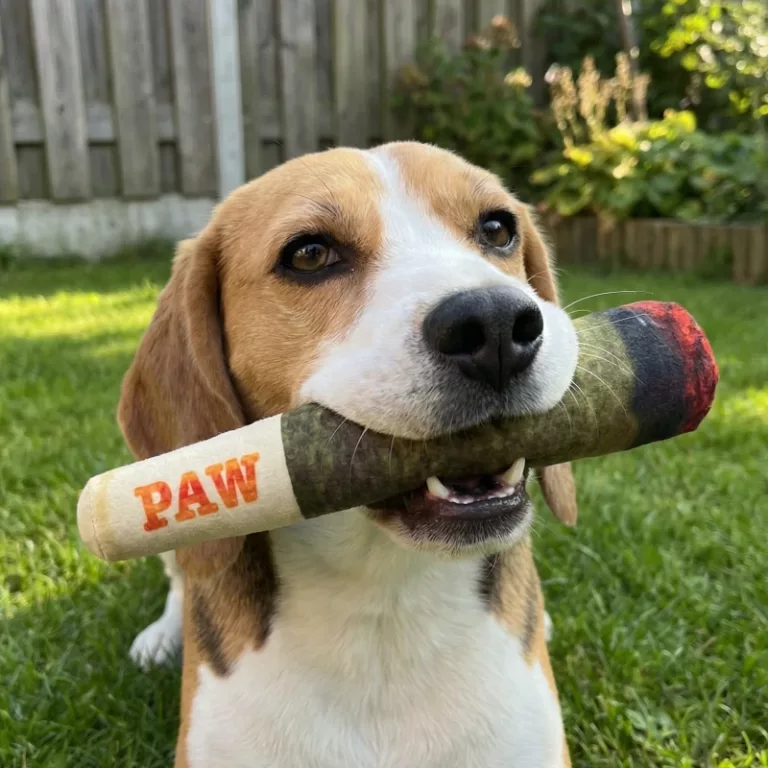 cigarette toy for dogs