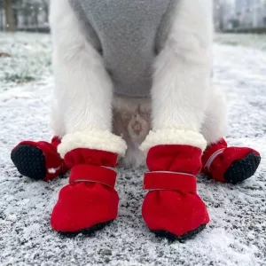 dog snow boots