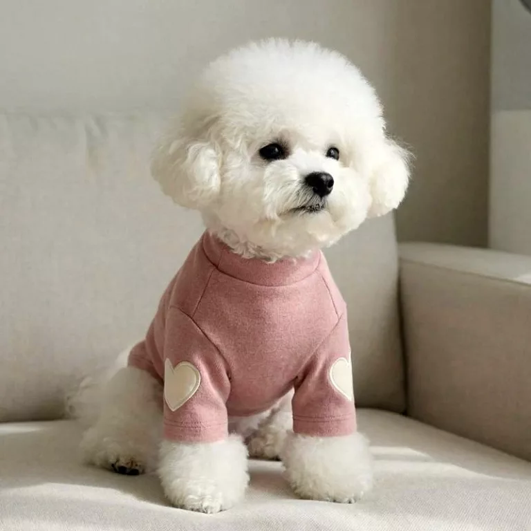 dog sweater vest, winter dog sweater, dog turtleneck sweater, warm dog jumper, dog warm sweater, cute dog jumper